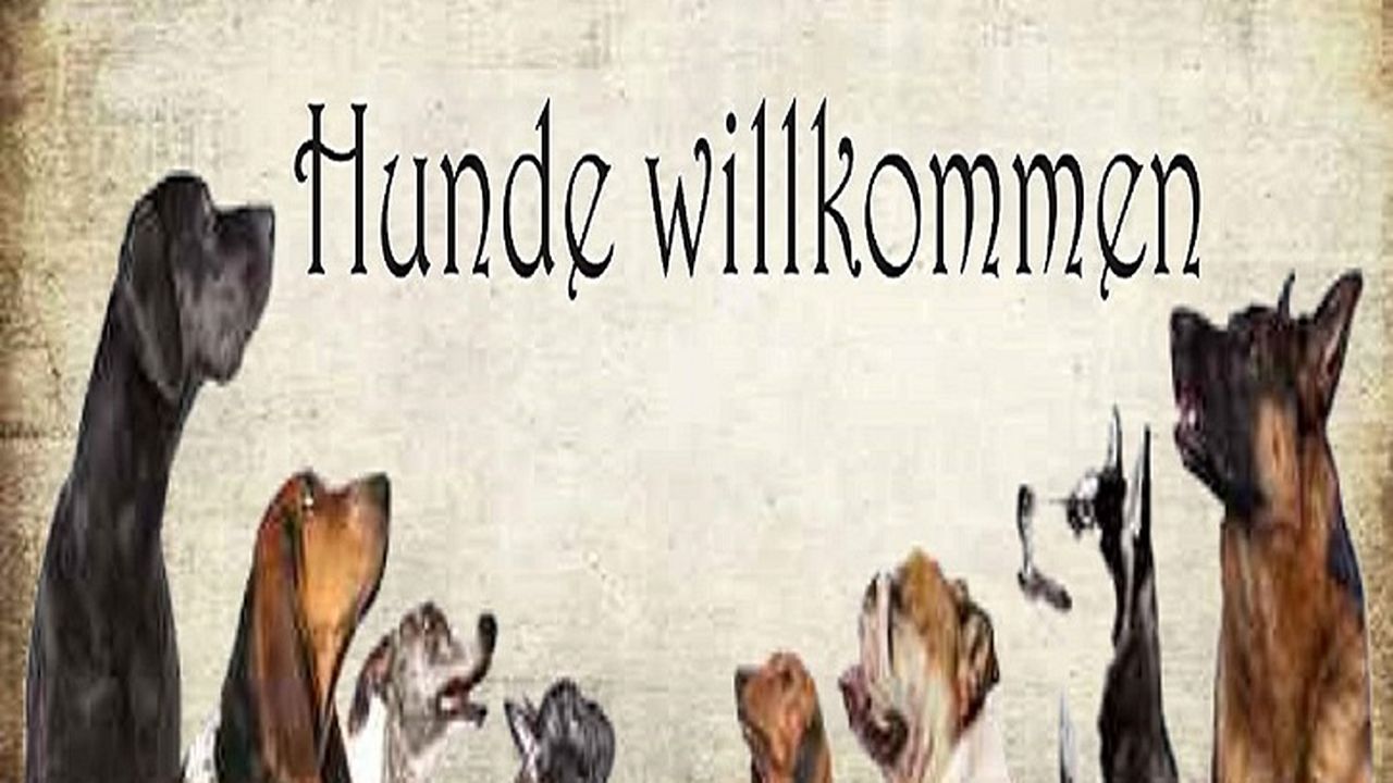 Bei uns sind Hunde herzlich willkommen ! Bei uns sind Hunde herzlich willkommen !